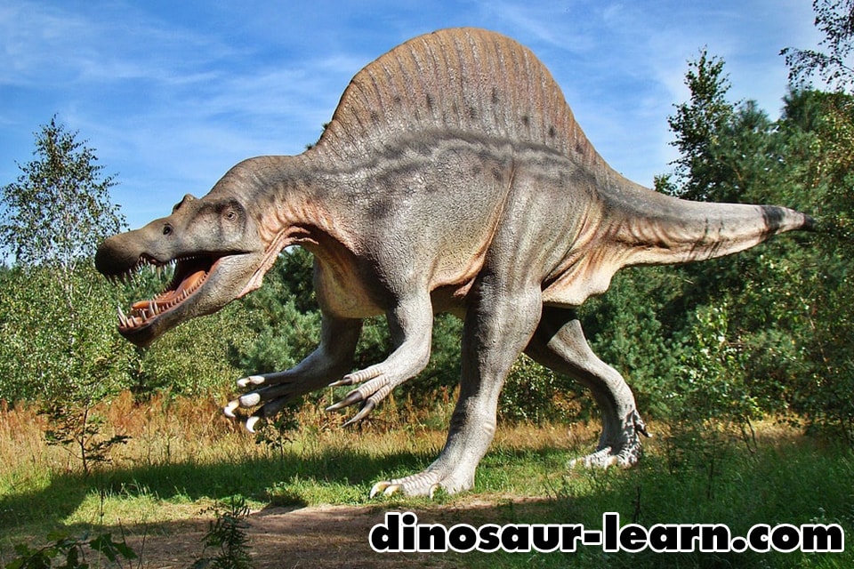 恐竜 種類