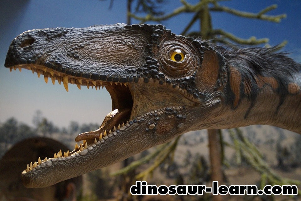 恐竜の中のそれぞれの最大サイズは 草食恐竜と肉食恐竜 恐竜ナビ 最強の恐竜や恐竜の種類など