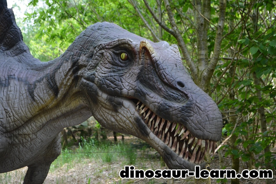 恐竜の足跡の化石からわかることとは 恐竜ナビ 最強の恐竜や恐竜の種類など